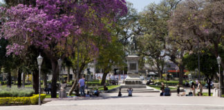 Sigue el viento y anuncian una jornada bien caliente