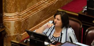 La senadora Blas pidió informe acerca de los despidos en Agricultura Familiar