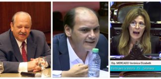 ¿Cómo votaron los Diputados Nacionales por Catamarca el Presupuesto 2019?