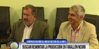 Buscan remontar la producción en Farallón Negro