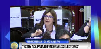 Presupuesto: el voto de los diputados por Catamarca