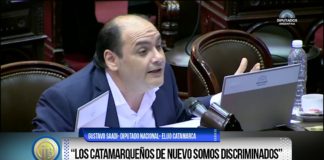 Saadi cuestionó el Presupuesto Nacional 2019