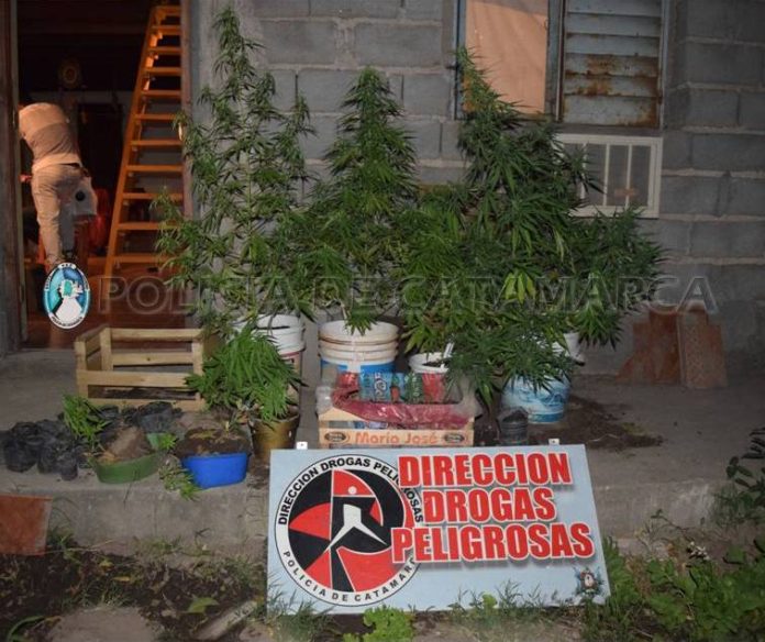 Sec. Drogas Peligrosas..