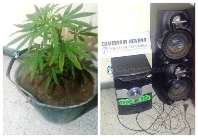 marihuana
