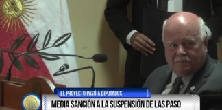 Media sanción a la suspensión de las PASO