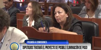 Diputados tratará el proyecto de posible eliminación de PASO
