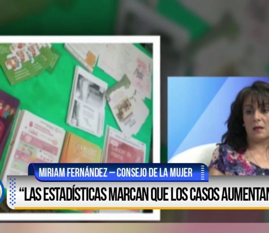 Cada 5 horas se denuncia un hecho de violencia machista