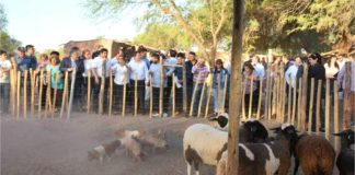 Producción asistió a familias de productores ovinos de Tinogasta