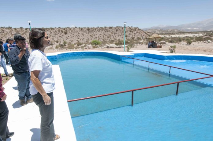 pileta palo blanco020