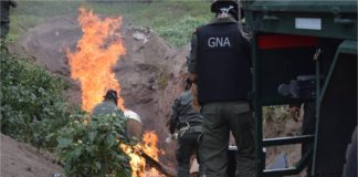 Incineraron 150 kilos de droga secuestrada