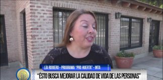 Las huertas urbanas como una salida a la crisis