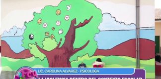 Dra. Carolina Alvarez- Violencia escolar.