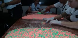La PSA detuvo a una mujer con más de 18 mil pastillas de éxtasis