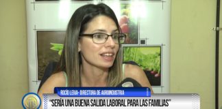Buscan crear una fábrica sustentable con energía solar