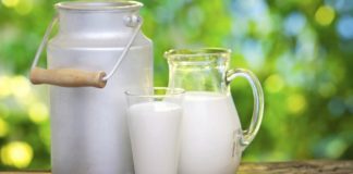 La Anmat prohibió la venta de una leche en polvo