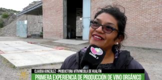 Claudia González, productora vitivinícola de Hualfín