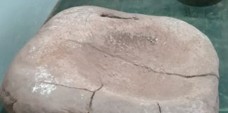 Hallan una piedra considerada patrimonio arqueológico en Tinogasta