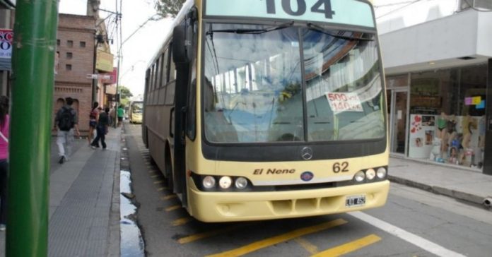 Colectivo 104