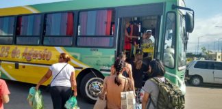 Valle Viejo: colectivo chocó con un árbol y dos mujeres resultaron lesionadas