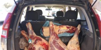 Secuestran varios kilos de carne vacuna en puesto caminero