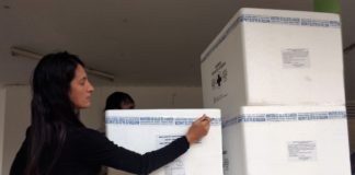 Llegaron más de 30 mil dosis de vacunas