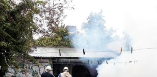 Salud confirmó caso de dengue importado del serotipo 4