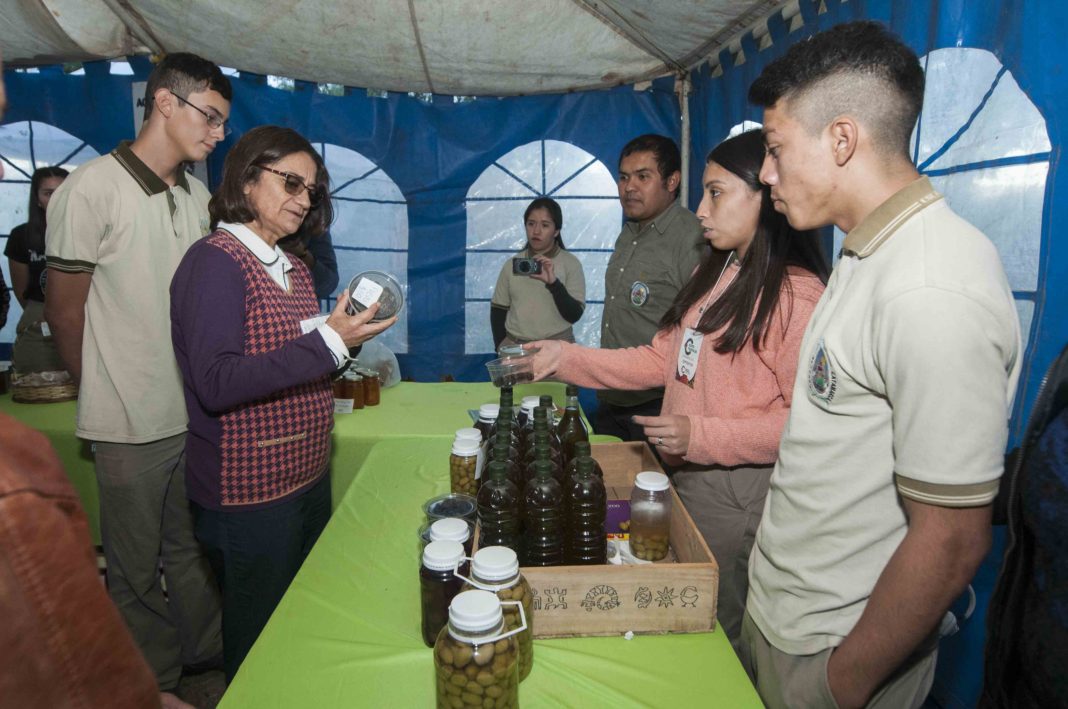 Lucía Expo Forraje