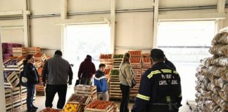 Retorna la actividad al Mercado de Abasto