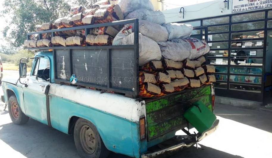 Sec Seguridad Vial (Carbon)