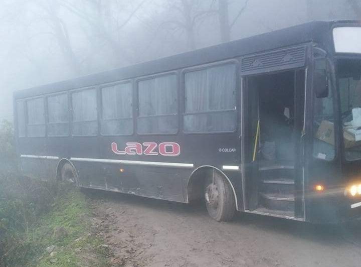 Lazo colectivo