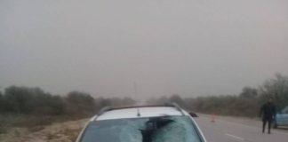 Accidente en Ruta 40: dos mujeres lesionadas tras chocar con un caballo