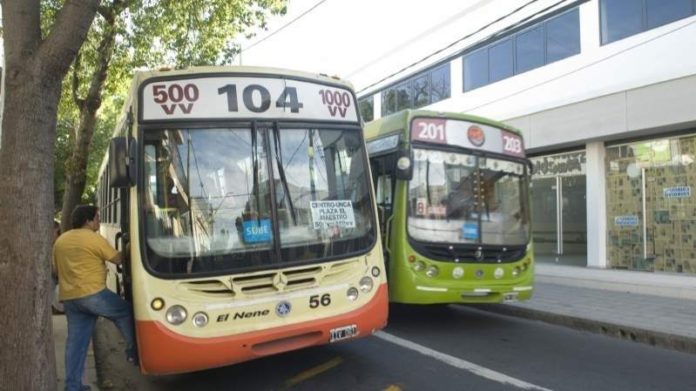 colectivos catamarca