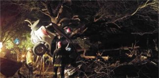 Espectacular accidente en San María: camioneta quedó incrustada en un árbol