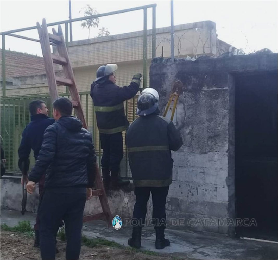 Asistencia Segunda