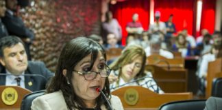 “Engañan a la comunidad diciendo que la Reforma promueve la legalización del aborto”