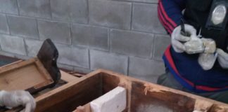 La PSA detuvo a ocho ‘narcos’ y secuestró casi cinco kilos de cocaína en Buenos Aires