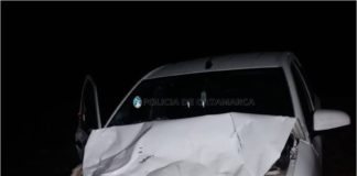 Automóvil embistió violentamente con un animal en Ruta 157