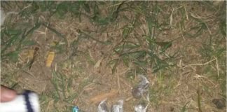 Tras una persecución arrestan a un joven y secuestran droga en Valle Viejo
