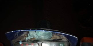 Secuestran marihuana en Valle Viejo