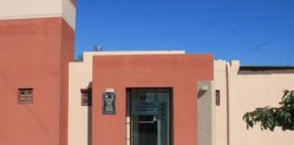 Castraciones en Zoonosis son gratuitas