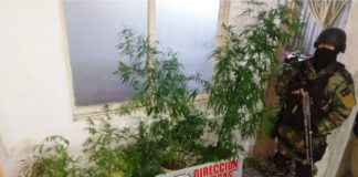 Allanamiento antidrogas en el centro de la Capital