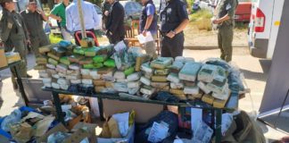 Incineraron más de 300 kilos de droga incautada