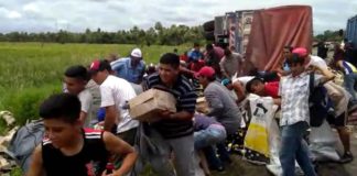 Camión con más 2.000 cajas de vino volcó y vecinos se llevaron la mercadería