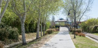 Un adolescente atropelló y mató a su abuela cuando le enseñaba a manejar