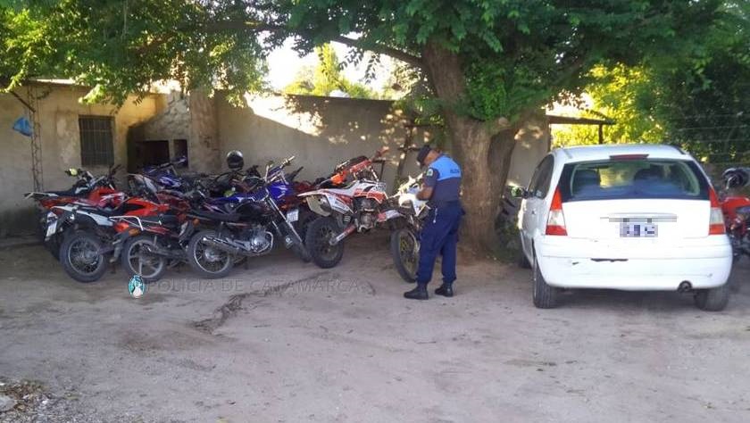 Seg Vial 2