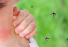 En tres días se sumaron 15 nuevos casos de dengue