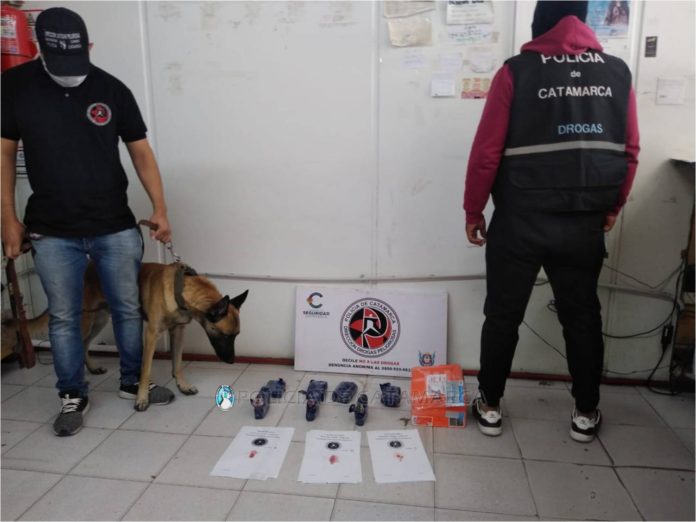 División Canes de Drogas