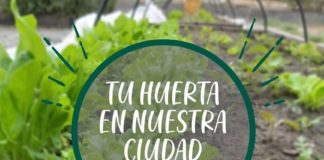 Lanzan el concurso «Tu huerta en nuestra ciudad»