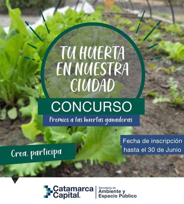 huerta ciudad