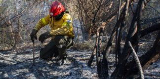 Logran controlar un gran incendio forestal en un campo de Pomancillo